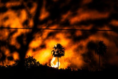 Un gran incendio arrasa los alrededores de la autopista BR-262, el 17 noviembre 2023, en la ciudad de Miranda (Brasil). El Instituto Nacional de Investigación Espacial del Brasil, una agencia federal, detectó 3.380 incendios en Pantanal en los primeros 17 días de noviembre, en comparación con apenas 69 durante el mismo periodo del año pasado, y muy por encima de los récords de temporadas pasadas de incendios que se remontan a 1998.