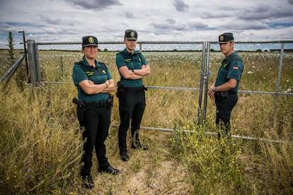 Los guardias civiles María Antonia Requena, Álvaro Gallardo y Pablo Bermejo, de la Comandancia de Toledo, en una finca con adormidera silvestre.