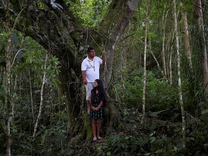 Lázaro Kamlem, 47 años, cacique de la aldea de Palmeira, posa con su hija Ludmila, de 10, cerca de un árbol en la tierra indígena Xokleng Laklano, José Boiteux, estado de Santa Catarina, Brasil, el 20 de agosto de 2021. Kamlem es descendiente de Shaman Kamlem, el curandero de Xokleng que vaticinó en su lecho de muerte, en 1925, que perderían su tierra a manos de los "hombres blancos", pero que algún día la recuperarían.