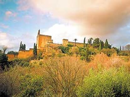 Los jardines del carmen de los Catalanes estarán abiertos al público hasta el último día de  febrero. Después se iniciarán los trabajos para su recuperación.