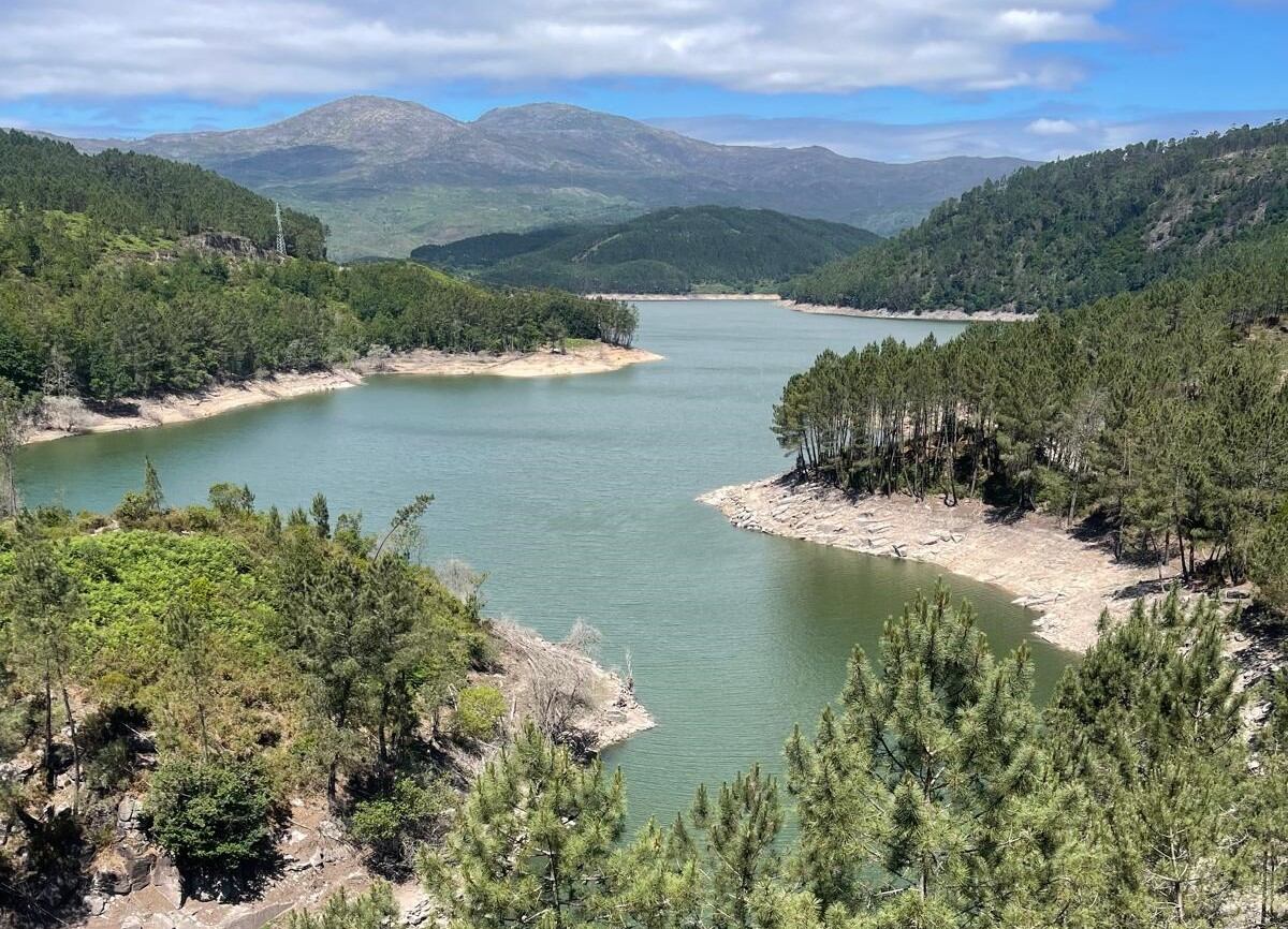 Embalses de Ourense “con 97 millones de bacterias por litro” vuelven a infectarse un año después de la condena a la Xunta y el Gobierno