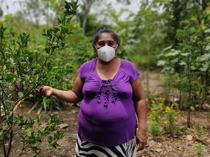 Ana Julia Ramírez, residente en Santa Ana (Petén) ha recibido diez árboles frutales, lo que supondrá un “gran beneficio” porque ya no tendrá que ir al mercado a por esos productos.