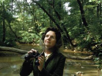 Rachel Carson, en 1972. 