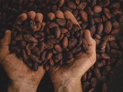 Quanto seu chocolate encareceria sem trabalho infantil?