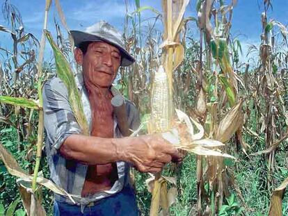 Las exportaciones de alimentos y de otras materias primas han mejorado la economía latinoamericana.