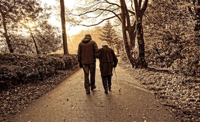 Dos ancianos caminan por un parque.