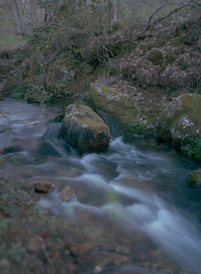 Tras unirse los arroyos de Morete y de Carnero, el agua desciende con fuerza.