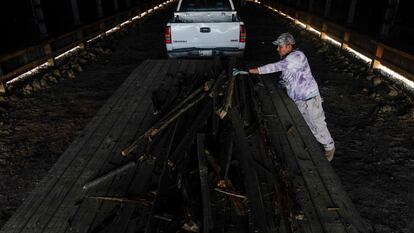 Un trabajador migrante de Veracruz (México), trabaja en una granja en Kentucky, el 12 de marzo.