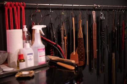 Baden-Wuerttemberg, Stuttgart: Floggers, paddles and whips hang in a studio behind disinfectant