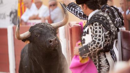Uno de los toros de Juan Luis Fraile, lidiado en Céret.