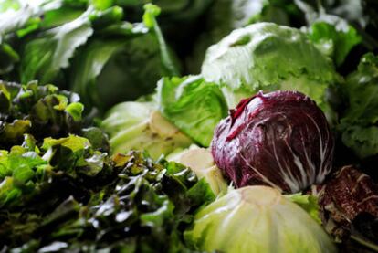 Los productos de cuarta gama han pasado de ser solo lechuga a incluir otras verduras, hortalizas y frutas.