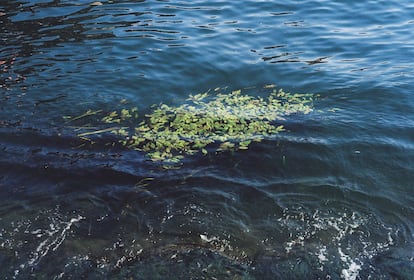 ‘Río Sena’.