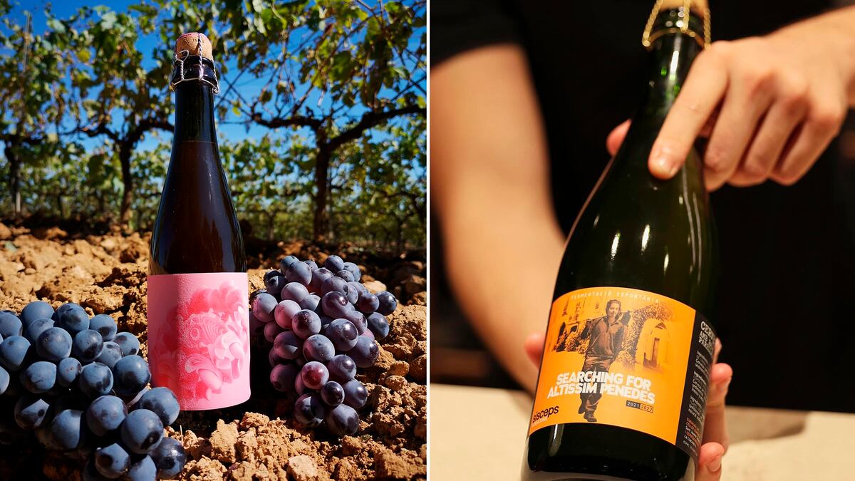 Dime qué vino te gusta y te diré qué cerveza tomar | Beber | Gastronomía