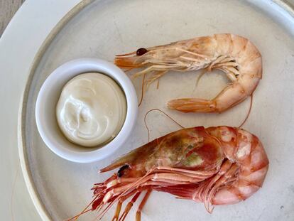 Gamba roja y gamba blanca, en el restaurante El Rais de Mahón (Menorca). J.C. CAPEL