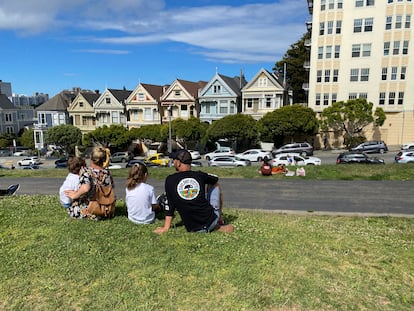 Painted Ladies