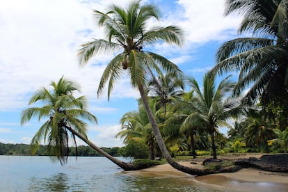 Playa en Río Dulce.