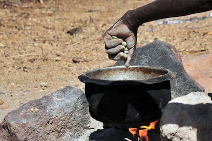 Mientras su hermano mezcla las semillas con ceniza, Arupe enciende el fuego y dispone la olla en la que cocinarán la loma. La fruta estará hirviendo durante medio día. Habitualmente esta fruta no se come, pero debido a la gran sequía, las familias de pastores dependen de ella para sobrevivir.