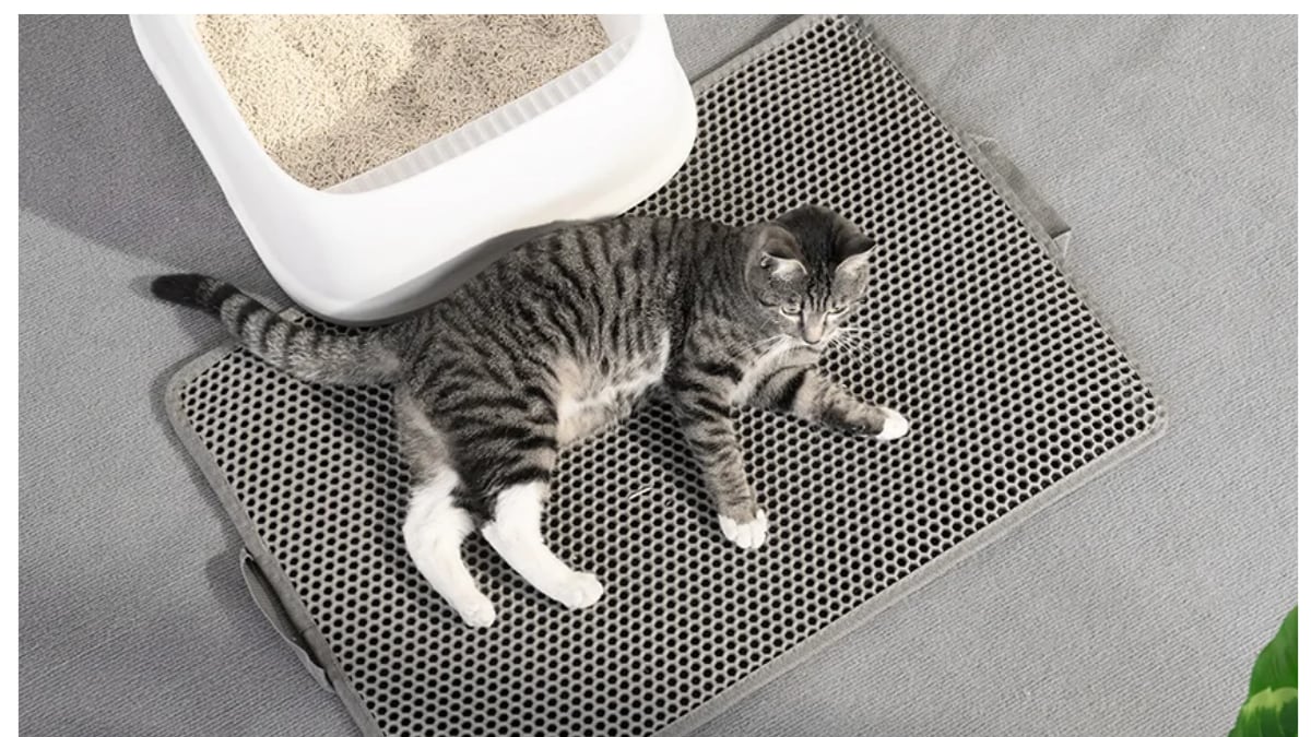 La alfombrilla para el arenero del gato es suave y muy resistente.