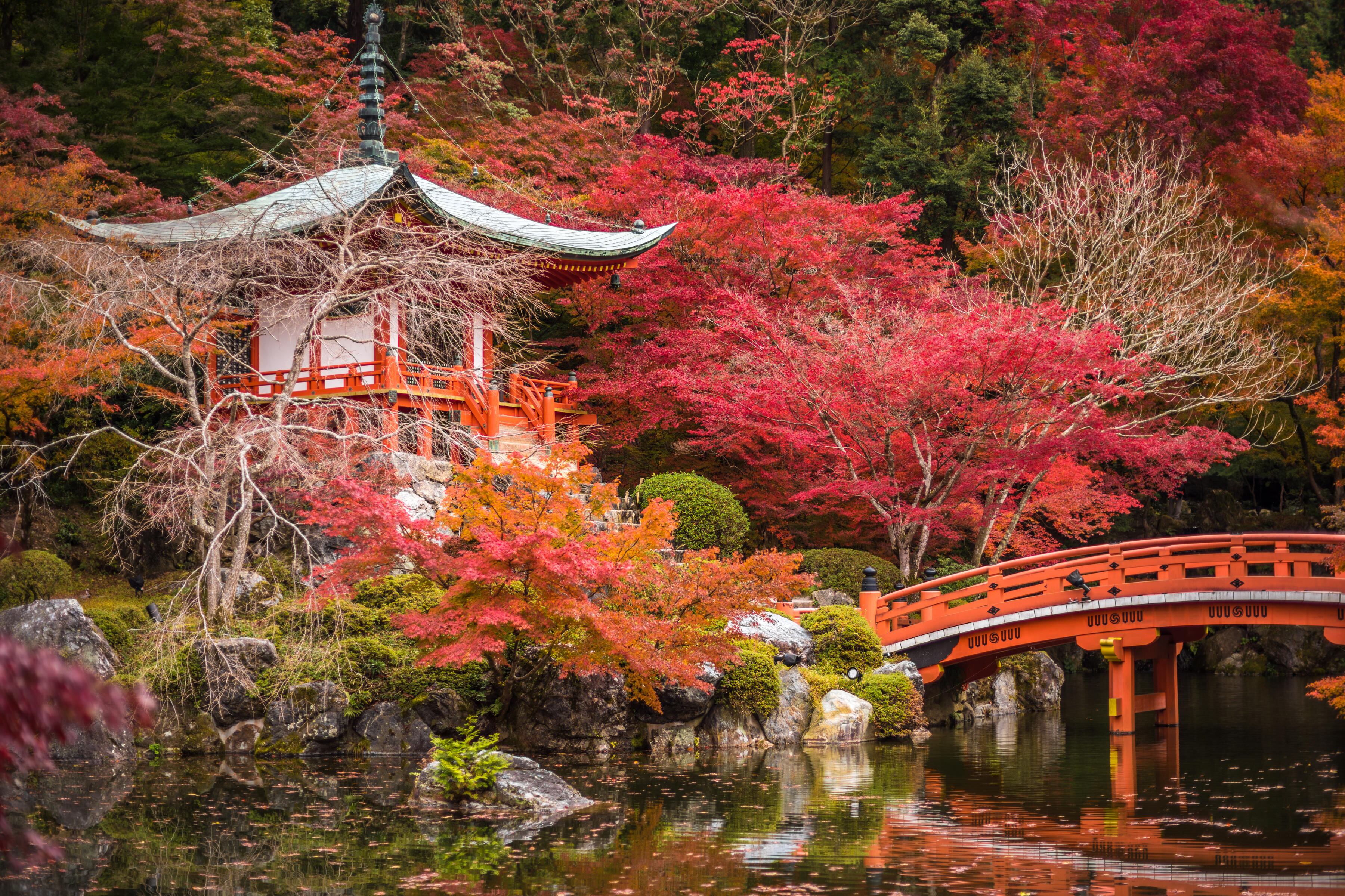 Noviembre en Japón: un viaje para contemplar el ‘momiji’ antes de que acabe el año