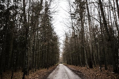 En 2017, un grupo de vecinos de la zona y ambientalistas se movilizaron para frenar una campaña del Gobierno polaco para talar varias de las zonas no protegidas del bosque, hogar de 20.000 especies de animales.