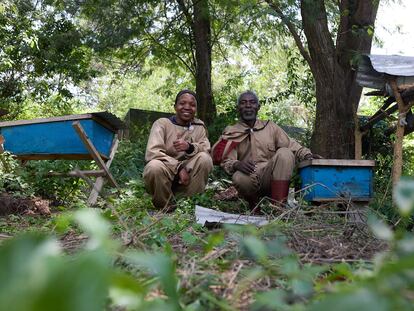 Isaac Habyarimana y Esther Habyarimana, junto a sus colmenas en el distrito de Mugunga, ciudad de Goma (República Democrática del Congo) el 11 de abril.