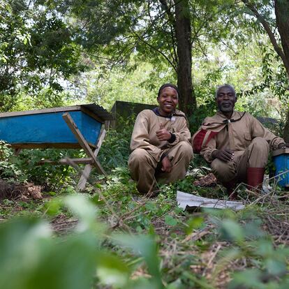 Isaac Habyarimana y Esther Habyarimana, junto a sus colmenas en el distrito de Mugunga, ciudad de Goma (República Democrática del Congo) el 11 de abril.