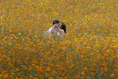 Una pareja se besa mientras se hace una foto en medio de un campo de flores, en el Parque Olímpico de Seúl (Corea del Sur).