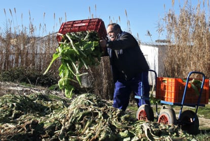 Un agricultor de Villa del Prado (Madrid) tira verdura al no poder venderla.