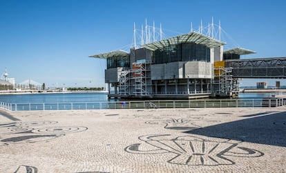 El Oceanário de Lisboa.