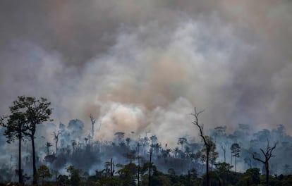 Incendio forestal en Altamira (Brasil), el 27 de agosto de 2019.