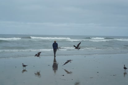 Contaminación Tijuana playas