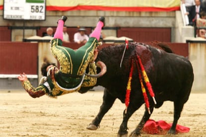 El torero Miguel Ángel Perera sufrió un revolcón cuando toreaba con la muleta al primero de la tarde ayer en Las Ventas.