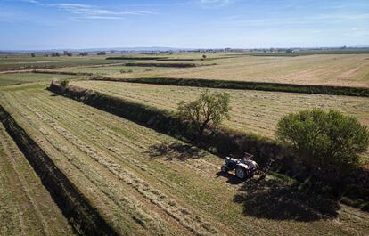 Un agricultor trabaja el campo regado por el canal d’Urgell.
