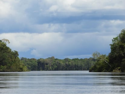 El río Vichada rodea parte de la selva