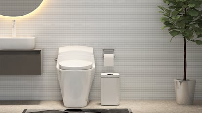 Un baño de aspecto minimalista