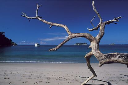 El parque nacional de Manuel Antonio, una mezcla de selva, playas y barra coralina, es uno de los ms visitados.