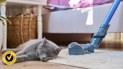 Estos son los mejores aspiradores para mascotas que se pueden comprar en el mercado