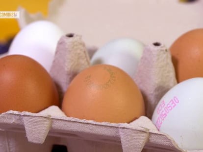 Cómo saber si es fresco y otras preguntas sobre el huevo