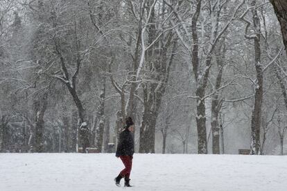 La nieve cuaja en el barrio de Aranbizkarra, en Vitoria.