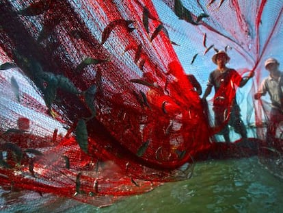 Pesca en aguas profundas: cuando la ciencia tiene cosas que decir