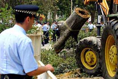 Efectivos de la Policía Local de Sevilla custodiaron ayer la tala de árboles en la Alameda de Hércules.