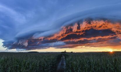 Nubes de tormenta al atardecer en un campo de maíz en Petersdorf (Alemania).