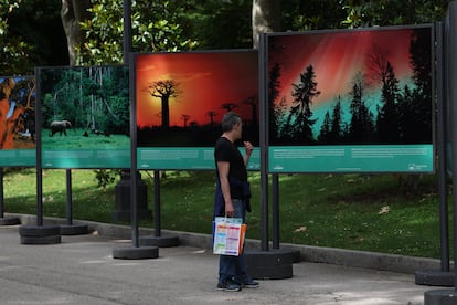 Una persona pasa por delante de la exposición fotográfica 'Bosques, nuestros aliados contra el cambio climático', en la Feria del Libro, el 30 de mayo.