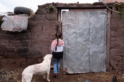 Chaska Ccana (6), hija mayor de Joys Estefani, juega en casa de su abuelo René Qqueccaño (44) en Pampamarca. La expareja y padre de las niñas es el principal sospechoso de la desaparición. Pincha en la imagen para ver la fotogalería completa.