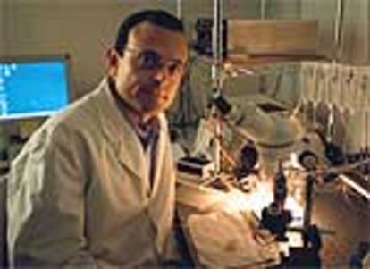 Antonio Ferrer, en su laboratorio.