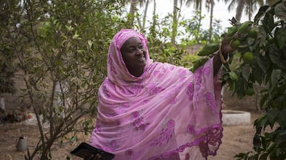 Fatimatou Sall, fundadora de la Asociación de las mujeres para la solidaridad y el desarrollo de Nord (AFSDN), en su huerto en Bango.