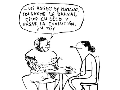 Flavita Banana: citas