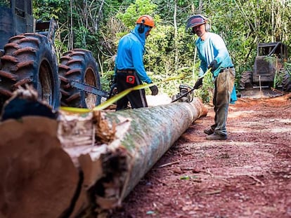 Funcionários em madeireira legal no Mato Grosso.