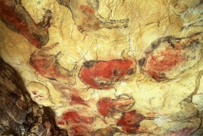 Pinturas de bisontes policromados de las cuevas de Altamira, imagen realizada en 1985.