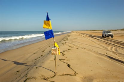 La playa de Doñana, en Huelva.